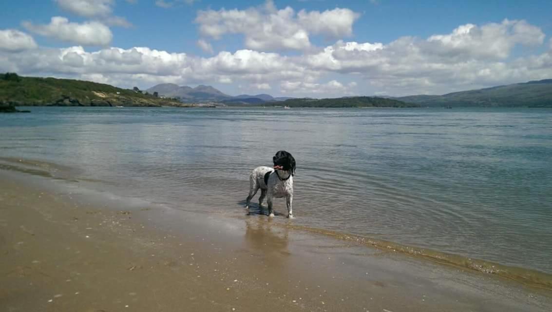 89 Lower Lakeside - Glan Gwna Holiday Park Caernarfon Ngoại thất bức ảnh