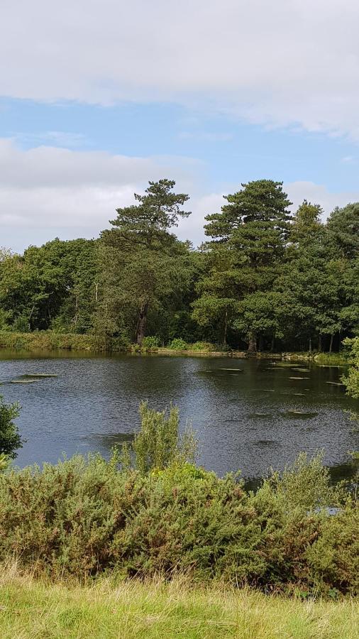 89 Lower Lakeside - Glan Gwna Holiday Park Caernarfon Ngoại thất bức ảnh